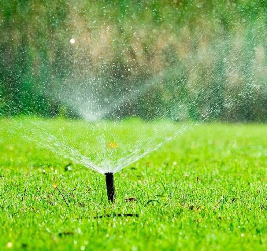 Top Tips for Maintaining Your Irrigation System Year-Round